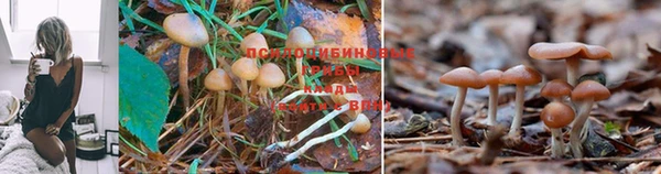 гашишное масло Абаза