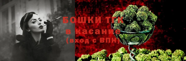 стаф Абинск