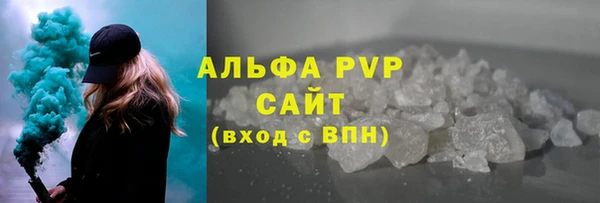 стаф Абинск