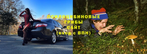 стаф Абинск
