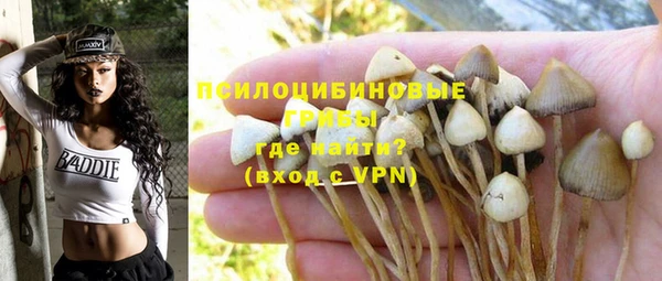 ешки Абдулино