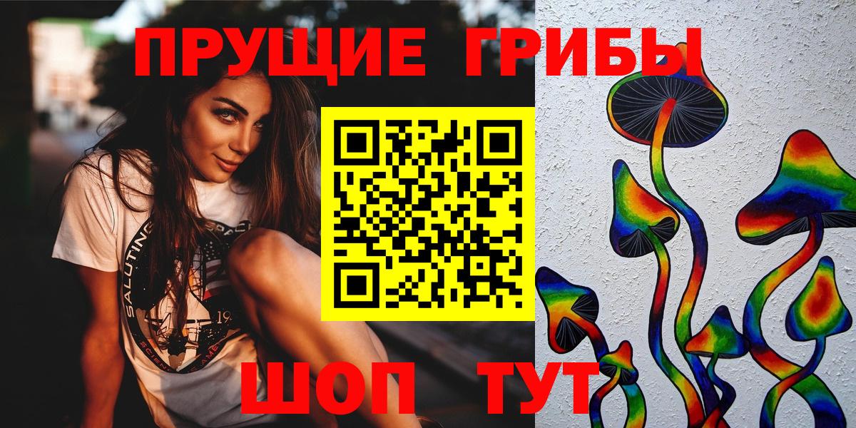 Новосибирск  Галлюциногенные грибы GOLDEN TEACHER  Вход с VPN 