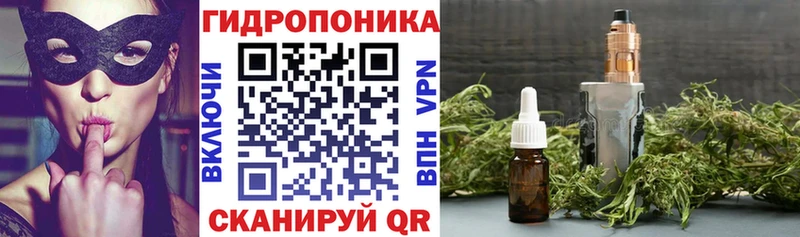 Каннабис сатива  это официальный сайт  Новосибирск 